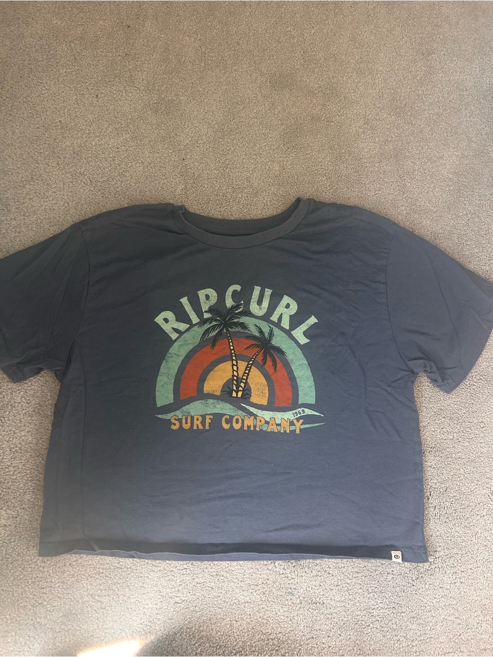 Rip Curl Navy Surf Company Graphic Tee